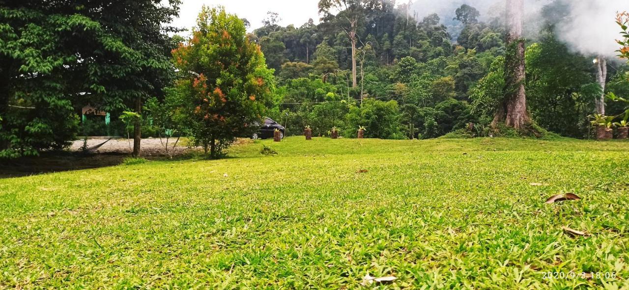 Green Forest Tangkahan Exterior photo