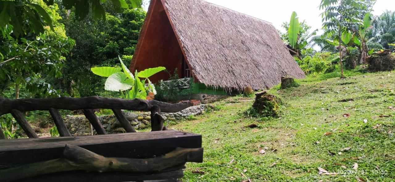 Green Forest Tangkahan Hotel Exterior photo