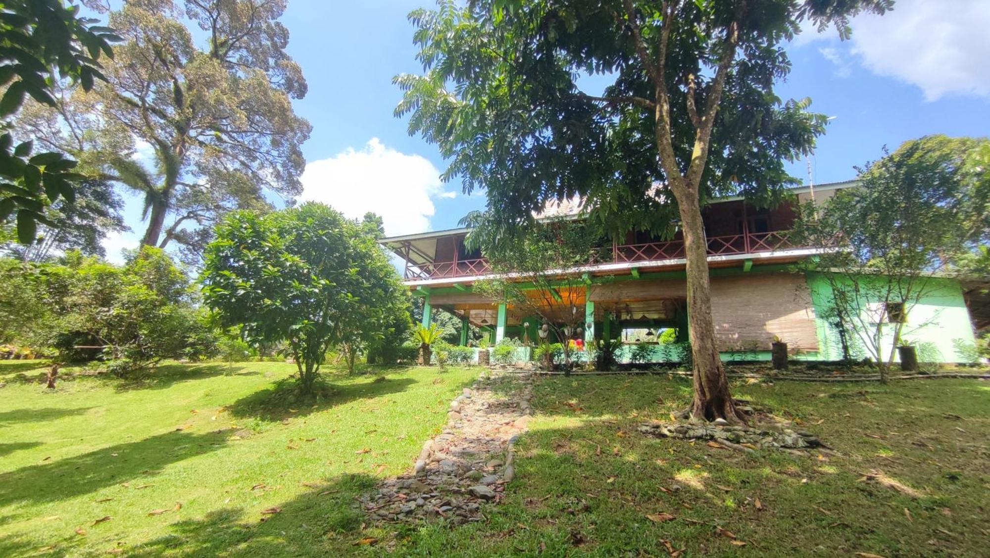 Green Forest Tangkahan Room photo