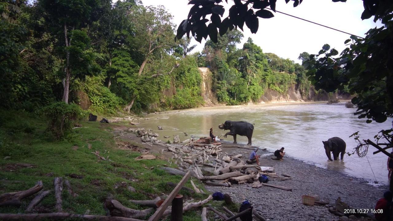 Green Forest Tangkahan Exterior photo